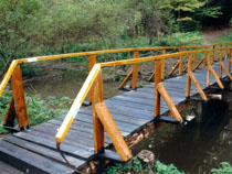 Мост через р.Ликова