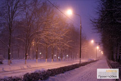 Москву и Подмосковье окутал белый пушистый снег