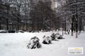 Москву и Подмосковье окутал белый пушистый снег