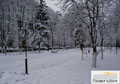 Первый снег 2012 года