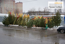 В Московском откроется 7 ёлочных базаров
