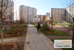 Высадка деревьев в городе Московский
