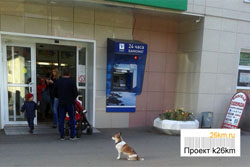 В Московском планируется установить дополнительные банкоматы