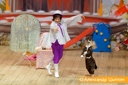 Театр «Карабаса Барабаса» представил «Леопольд в цирке»