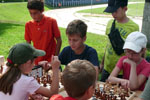 Прошли турниры по шахматам и шашкам