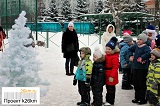 «Чудеса на льду» в Московском