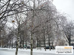 В Москве вновь погодная лихорадка