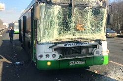 На Киевском шоссе произошло ДТП с участием автобуса
