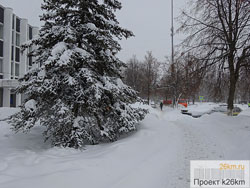 Снежная буря спустя месяц вернулась в Москву