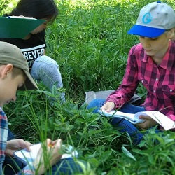 Школьники изучили экологию округи Московского «в полях»