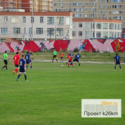 «Росич» победил в Чемпионате Москвы на домашнем поле